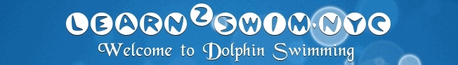 Dolphin Swimming